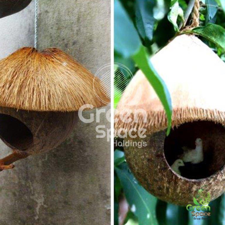 Coconut Shell Hanging Birds Nest » Green Space Holdings