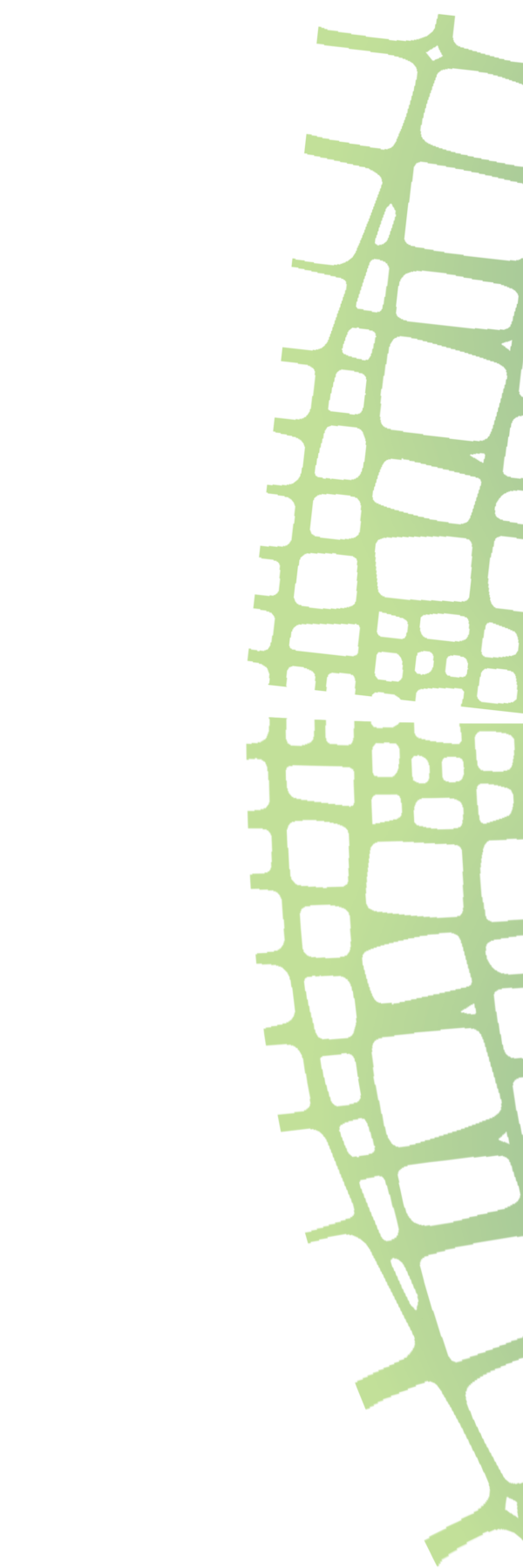 Green Space Holdings Sri Lankan Manufacturer & Exporter