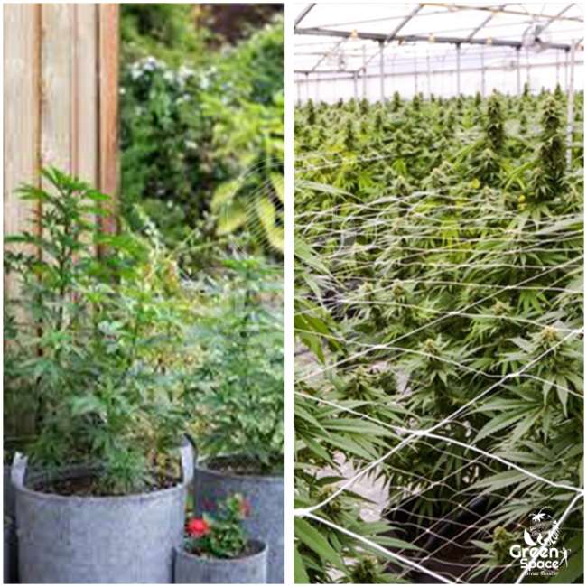 Green Space CaniMIX Planter Bag » Green Space Holdings