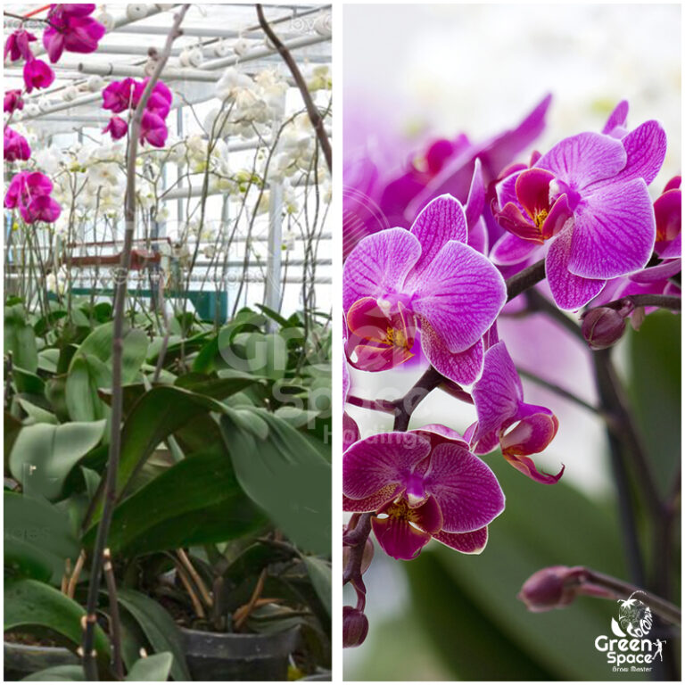 Green Space ChidMIX Planter Bag » Green Space Holdings