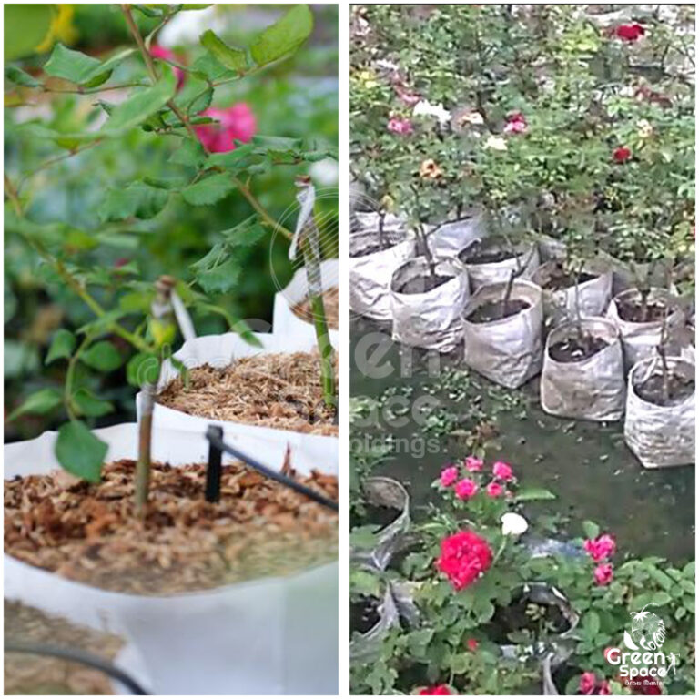 Green Space RoMIX Planter Bag » Green Space Holdings