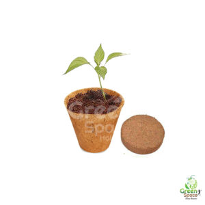 Compressed coco peat discs 6cm – eco-friendly growing medium expanding to 400ml per disc