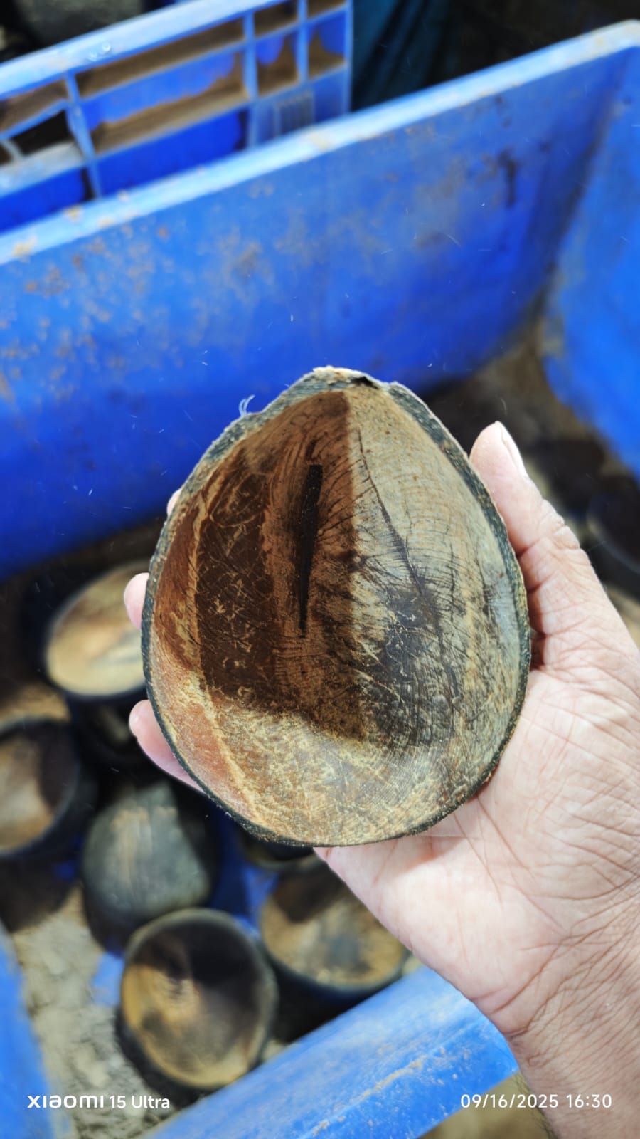 Advancing Sustainable Packaging Innovation in Sri Lanka