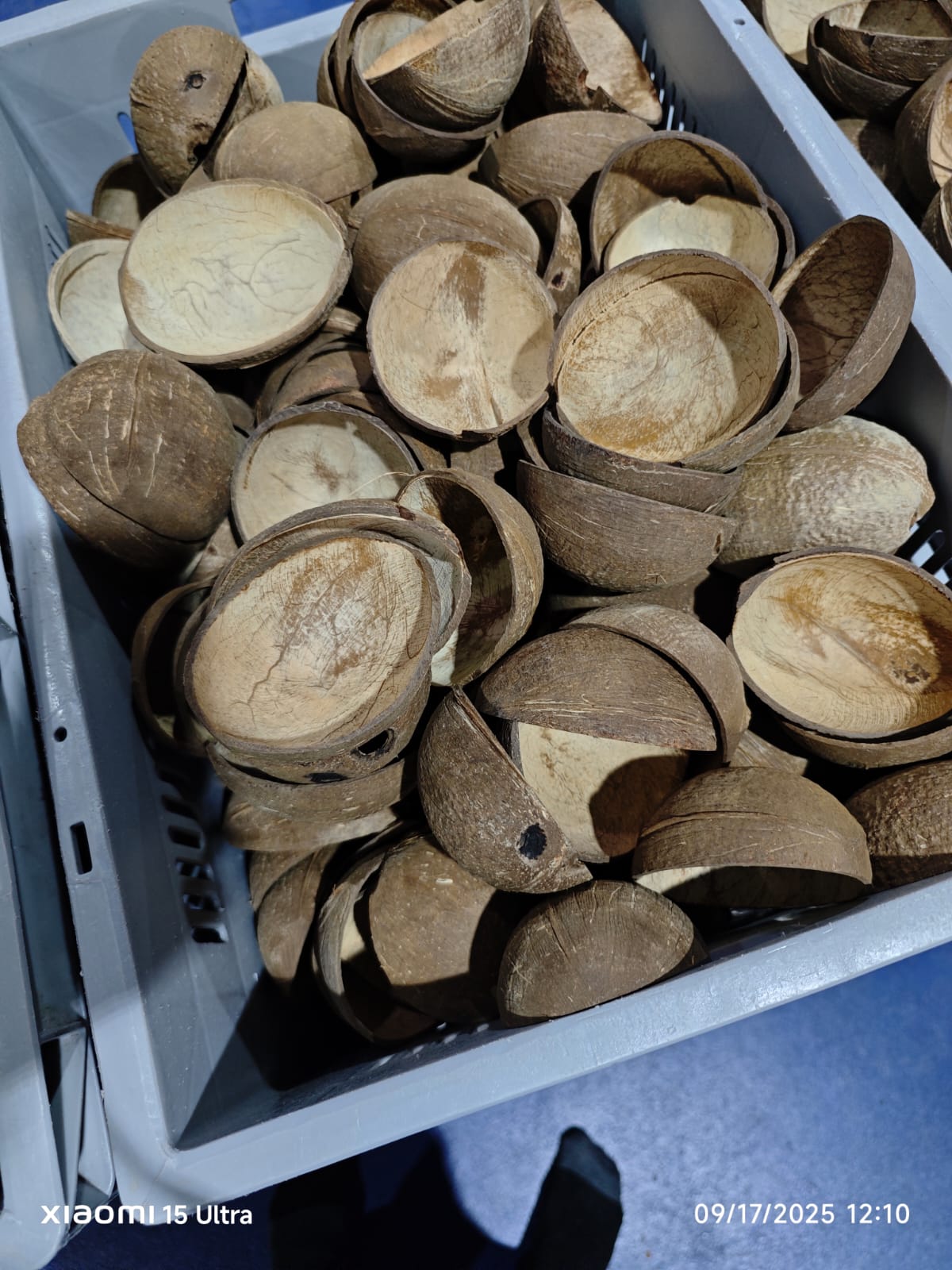 Advancing Sustainable Packaging Innovation in Sri Lanka