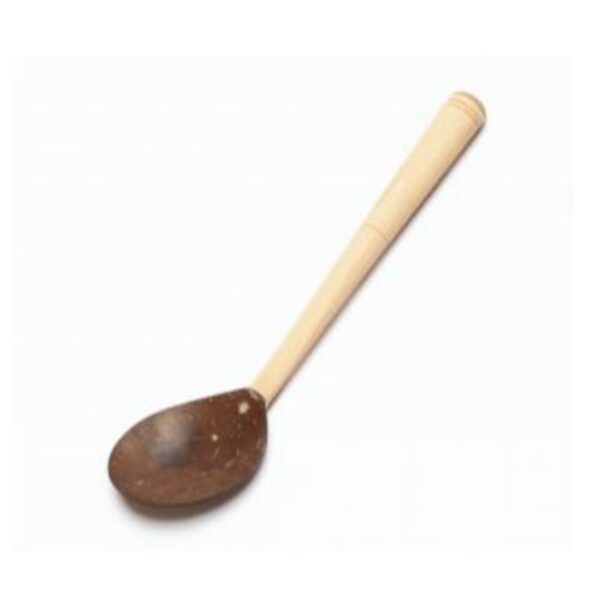Coconut Table Spoon