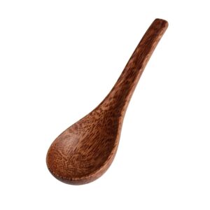 Coconut Soup Spoon