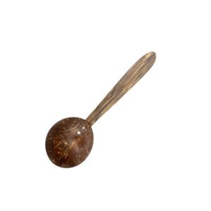 Coconut Curry Spoon Small Size