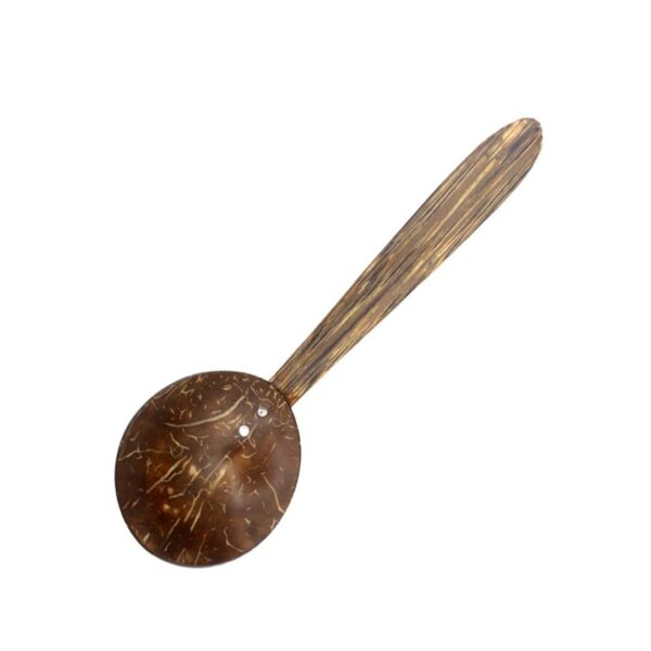 Coconut Curry Spoon Medium Size