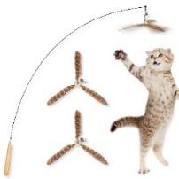 Star Shape Cat Dancer